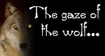 Two new romancable NPCs from TotSC for BG2